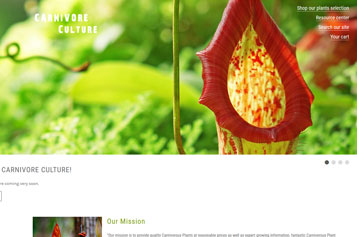 great website design